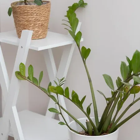Two-bedroom Apartament Ideal For Families By Renters * Varsóvia